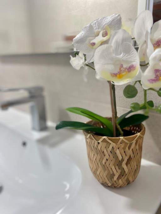 CayónPrecioso Loft En Caion Rocha, Sobre La Arena Y El Mar公寓 外观 照片